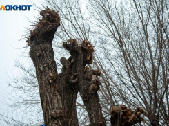 Волжский хотят лишить исторического облика