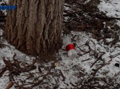 Убирают ли ваш двор? Власти Волгоградской области начали масштабные проверки УК