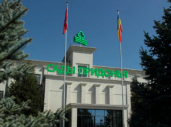 Многомиллионный иск подали на «Сады Придонья» за загрязнение почвы