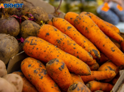 На 13% за неделю: колоссальный скачок цен на овощи зафиксировали в магазинах Волжского 