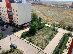 «Мам, мне страшно идти»: 38 микрорайон зарос травой в Волжском