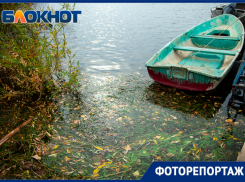 Осень дарит ощущение покоя и бесконечную красоту
