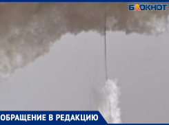 Пампушка с сюрпризом: волжанка обнаружила волос в приобретенной булочке