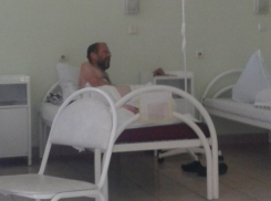 Как это было: каракурт укусил волгоградца в ягодицу