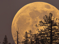Над Волжским взойдет «супер» Луна