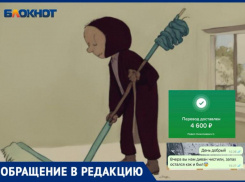 Волжский клининг размазал мочу кота по дивану вместо стирки