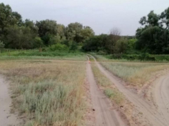 14-летний на мопеде попал в больницу после аварии в Волгоградской области