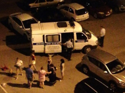 Житель Волжского выкинул кота с восьмого этажа