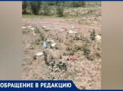 «Большая просьба к свиньям: не оставляйте за собой мусор»,- волжанка о пляжном отдыхе