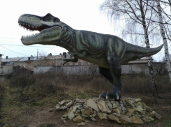 Волжанин заявил, что Волгоградская область может быть родиной динозавров
