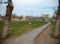 В хмурый четверг в Волжском проснутся змеи: прогноз погоды