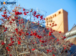 Зуб даешь? В день зубной феи волжане попрощаются с зимой