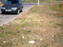 Уборку в сквере на Александрова планируют экоактивисты Волжского