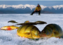 Под Волгоградом утонул в новогоднюю ночь любитель подледной рыбалки