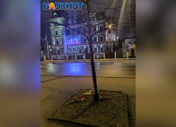 Волжане возложили цветы к посольству России в Латвии
