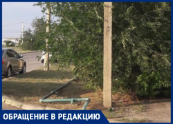 Сломанные ветки прибьют детей и родителей: засохшие деревья пугают жителей Волжского
