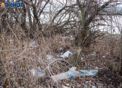 Большинство волжан признались, что не принимают участие в месячнике по благоустройству