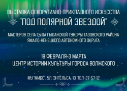 В Волжском проходит выставка «Под полярной звездой»