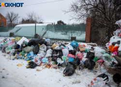 В Волжском изменятся правила расчета нормативов на вывоз мусора