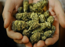 Молодой житель Краснослободска привез в Волгоград два килограмма марихуаны 