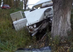 В Волжском машина врезалась в дерево - есть пострадавшие