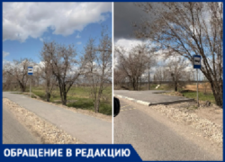 «Стоим под солнцем и дождем»: волжане просят восстановить остановочные павильоны на улице Логинова