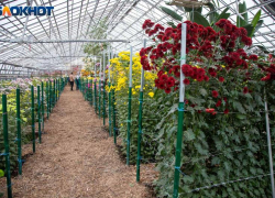 Матвеев день - Ветродуй: древние традиции, приметы и запреты