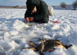 В Волгоградской области посоревнуются за звание лучшего рыбака