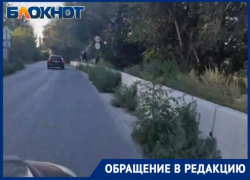 Новая дорога заросла травой после ремонта в центре Волжского: видео