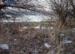 Берег закрыт, помойка открыта: прокуратура взялась за СНТ в Волжском