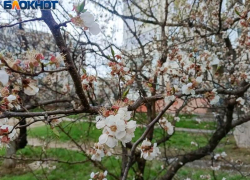 Майское затишье с сюрпризом: когда Волжский накроет геоштормом
