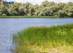 Облить водой соседа рекомендует волжская травница в День Ивана Купалы
