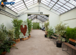 В Волжском откроют выставку кактусов из разных городов
