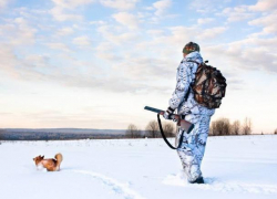 Зимний сезон охоты в регионе закрыт