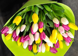 Красота в каждом бутоне: сделайте 8 марта незабываемым с «Незабудкой»