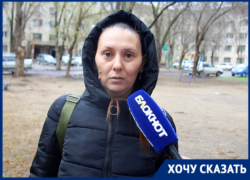В Волжском бойцовский пес без поводка и намордника напал на чихуахуа на глазах у 13-летней девочки