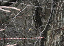 Под Волгоградом взломщик случайно убил того, в чей дом до этого проник