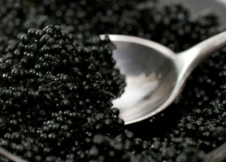 Под Волгоградом у водителя рейсового автобуса изъяли 3 килограмма черной икры