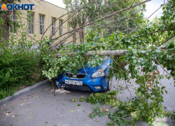 О грозовом шторме в Волгоградской области предупредило МЧС