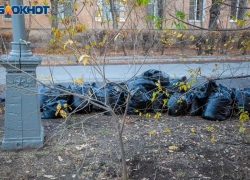 Волжскую молодежь приглашают изменить город к лучшему