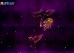 Сутки обещают непростой эмоциональный фон: гороскоп на 1 апреля