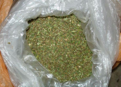 Трое мужчин собирались заработать 5 миллионов рублей за 300 килограммов марихуаны в Среднеахтубинском районе