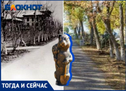 Суслик-землекоп рассказал историю волжского сквера на Комсомольской