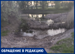 «Ерики загажены, хотя деньги на очистку выделялись», - волжанка