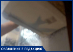 «В квартиру падали опарыши»: о жутких соседях и бездействии УК рассказала жительница Волжского