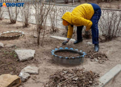 Советы для волжан как обезопасить огород на даче от заморозков