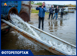 50 тысяч мальков выпустили в реки Волжского: фоторепортаж