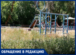 «После прогулок дети покусаны блохами»: волжанка о заросшем травой дворе
