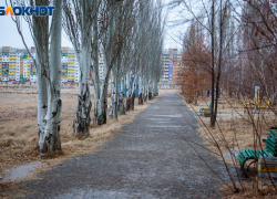 Волжский поборется за преображение своих общественных пространств на всероссийском голосовании