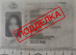 Волжанка заплатила за липовые права «Хондой» и свободой